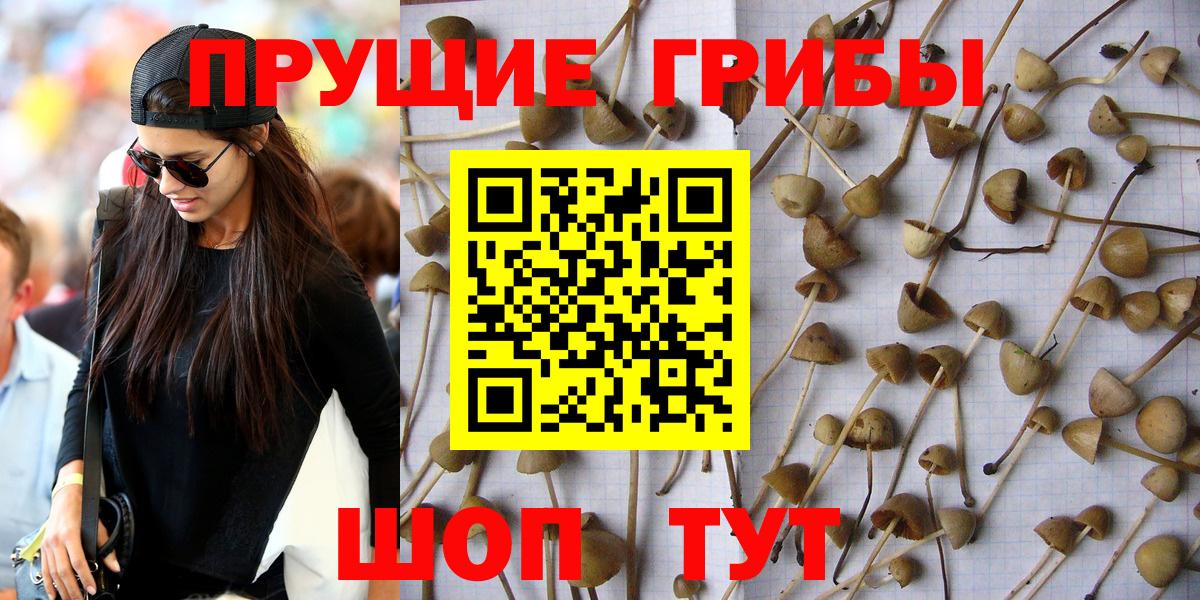 Галлюциногенные грибы мицелий Аксай