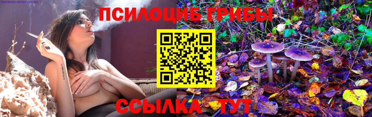 купить   Галлюциногенные грибы мицелий  Вход с VPN  Аксай 